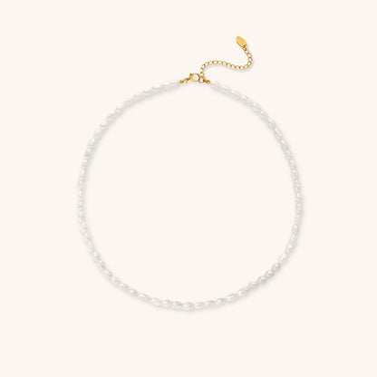 Avaria - Collier ras du cou en perles d'eau douce