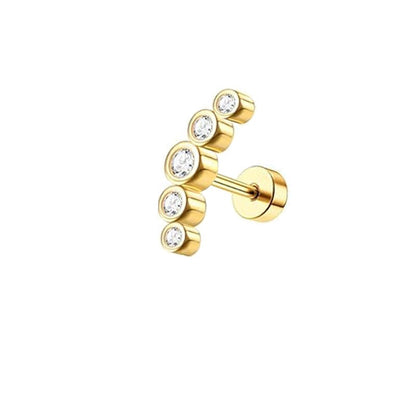 Marais – Collection de Puces d’Oreilles Élégantes