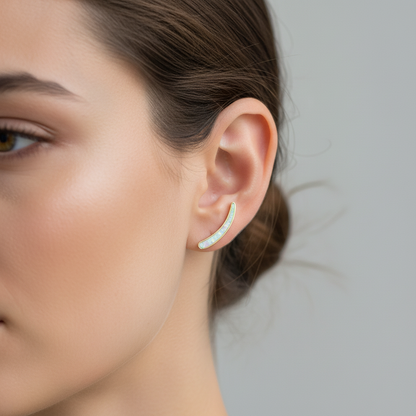 Marais – Collection de Puces d’Oreilles Élégantes